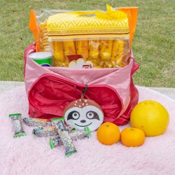 Cute Animal Pouch Reusable Shopping Bag Durable Easy-Fold  Machine Washable 100% Needle Detection Compliant Low MOQ