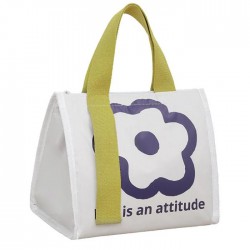 Customizable Fashion style Recycled Rpet Insulated Cooler Picnic Beach