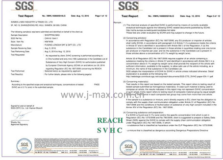 6.2016-SGS REACH CERTIFICATE.jpg